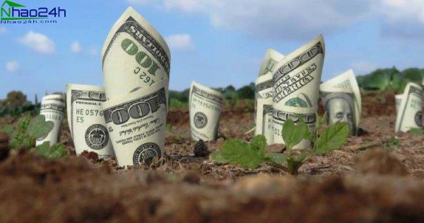 Tiền sử dụng đất là gì? Khi nào làm sổ đỏ phải nộp tiền sử dụng đất?